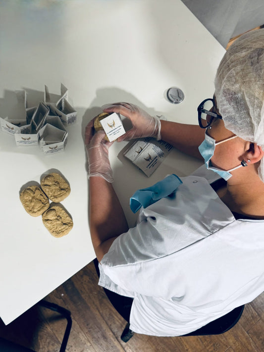 shampooing solide Le Shampooing d'Ange